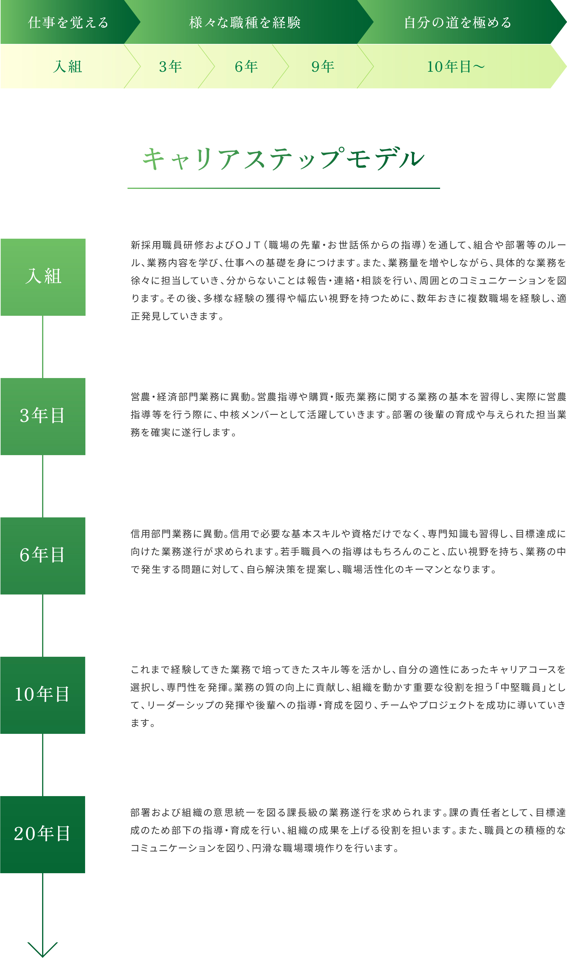 キャリアステップモデル
