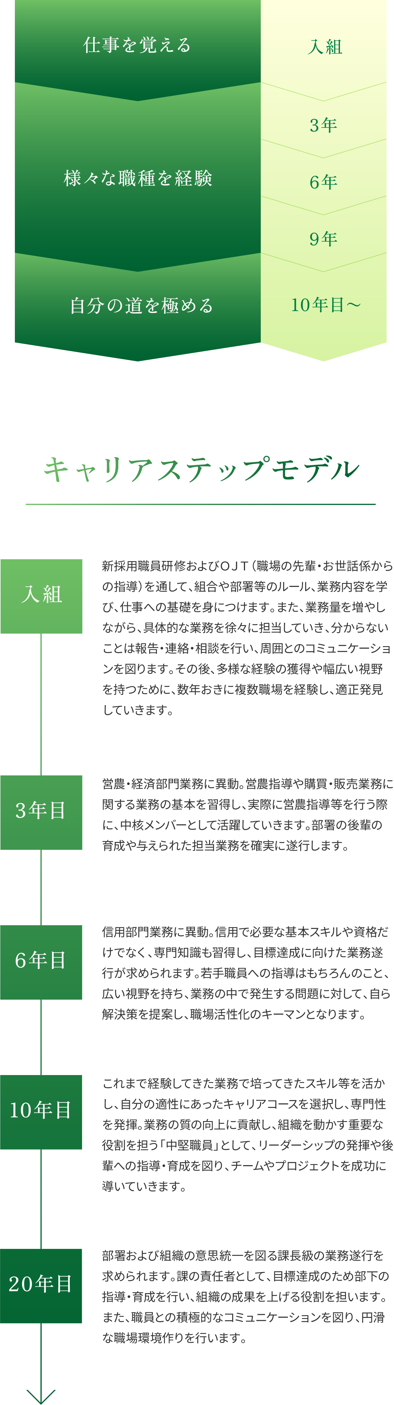 キャリアステップモデル